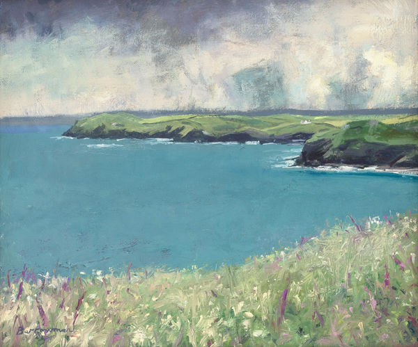 Amazing Year for Foxgloves, Carnweather, North Cornwall Coast