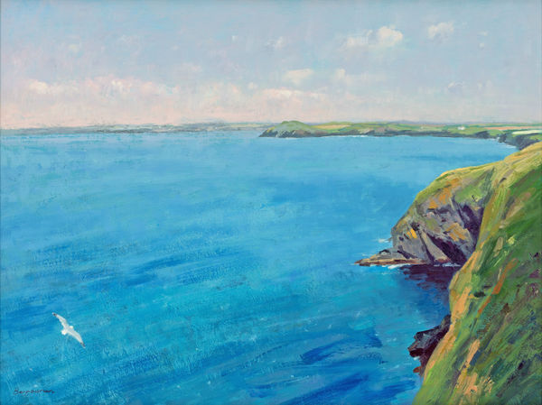 Gull Near Kellan Head, Polzeath