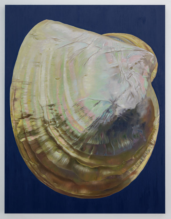 Fawn Rogers, Surbrace, 2021