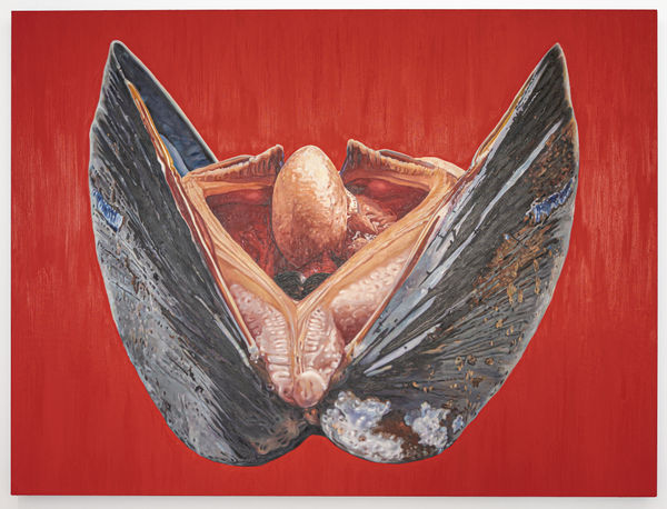 Fawn Rogers, Free of God, 2021