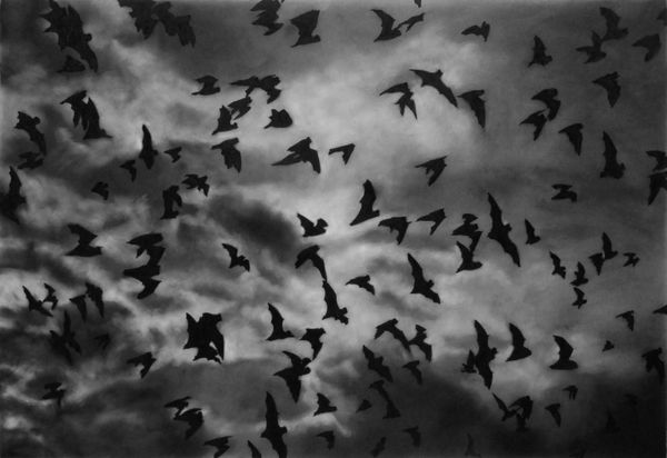 Robert Longo, Study for Bats in Night Sky, 2015