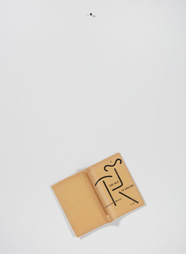 Steve Wolfe, Untitled (The Skin Of Dreams), 2000-2002