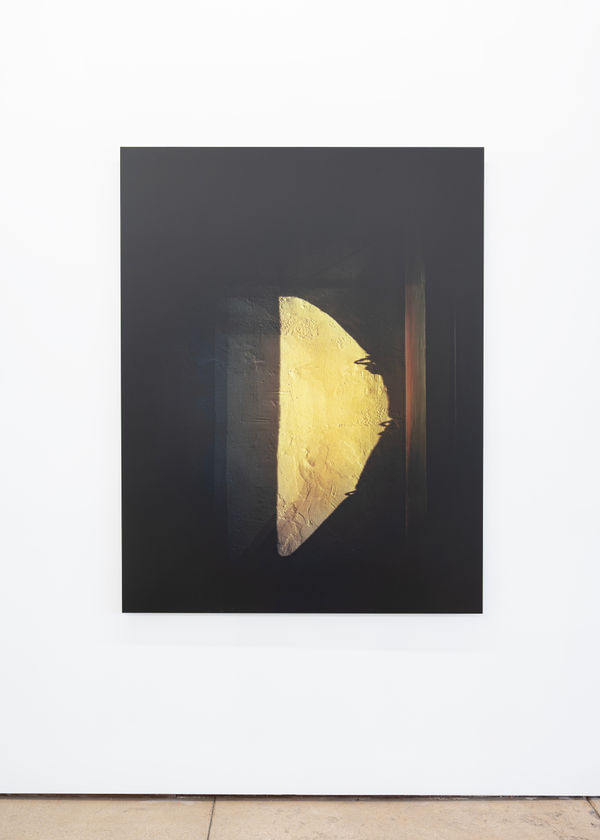 Austin Irving Six Hours, New York, NY, No. 1, 2015 / 2025 4 x 5 Color Negative – Archival Lightjet Print on Dibond 59 x 48 inches 149.9 x 121.9 cm.