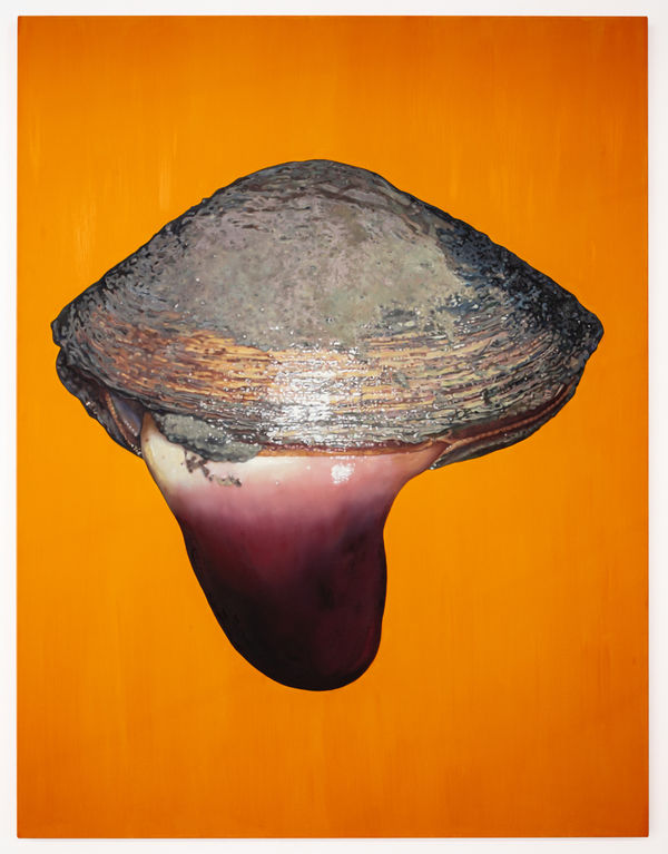 Fawn Rogers, Happy As A Clam #1, 2021