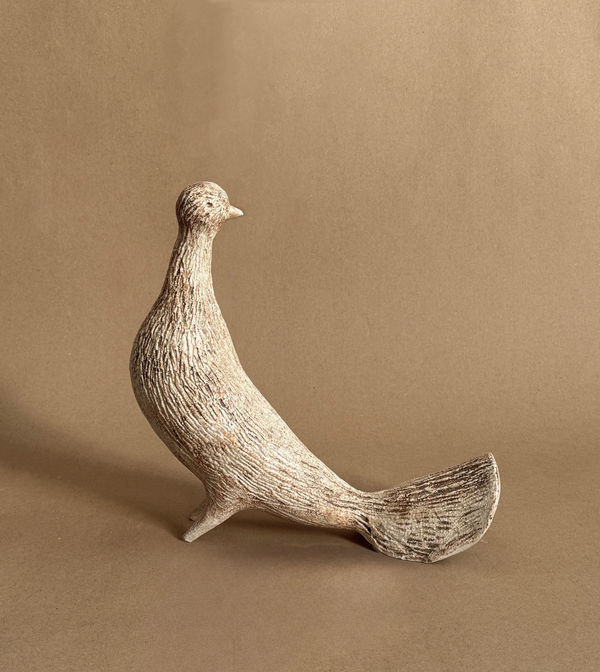 Ochre Fan-tailed Bobble