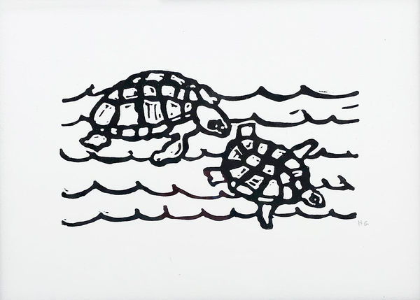 Turtles