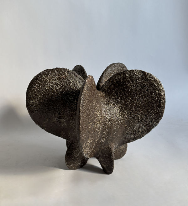 Charcoal Star Petal Gourd