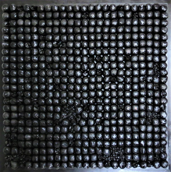 Kadarik, BN004, 2022