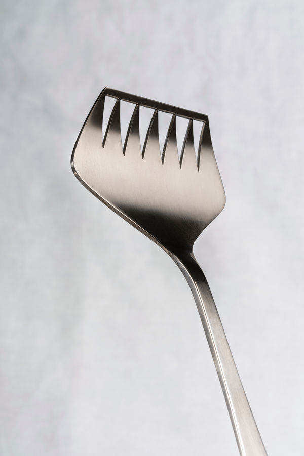 Sardine fork