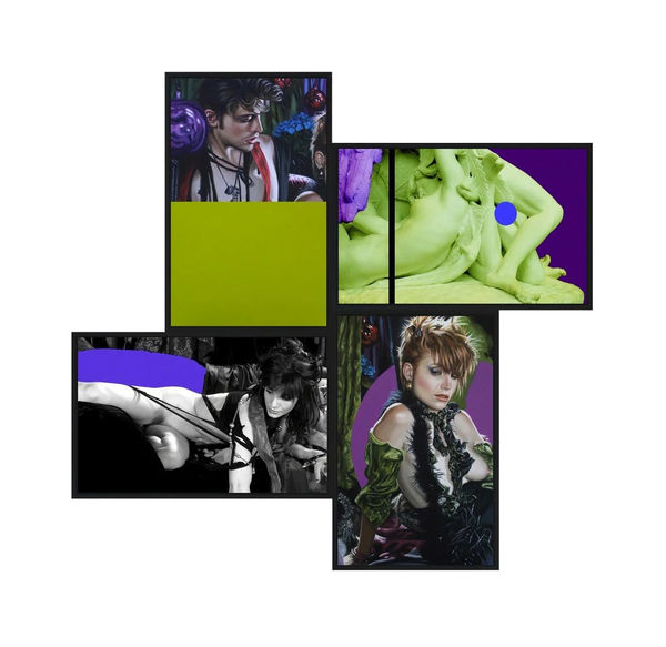 Terry Rodgers Chance, 2016 2 oil on linen canvas and 2 photographs 151 x 155 x 4 cm 59 1/2 x 61 x 1 5/8 in