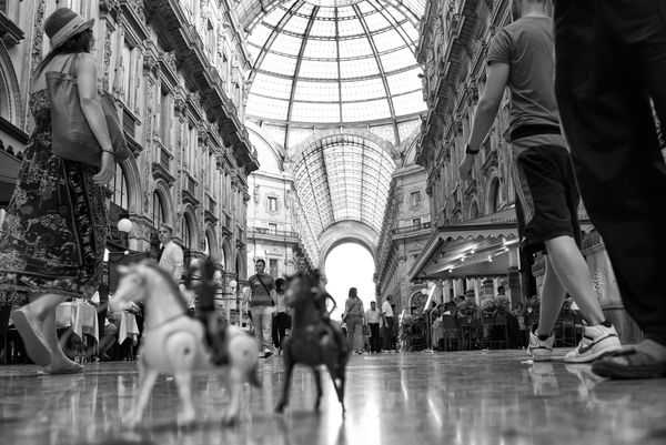 Riccardo Wolfgang, Vittorio Emmanuele Infantry , 2013