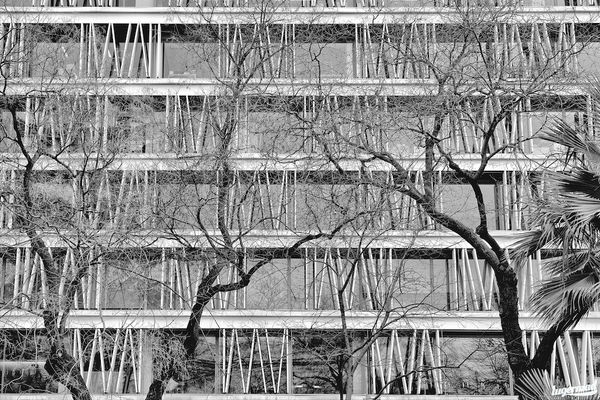 Riccardo Wolfgang, Plaza Colon Madrid, 2011