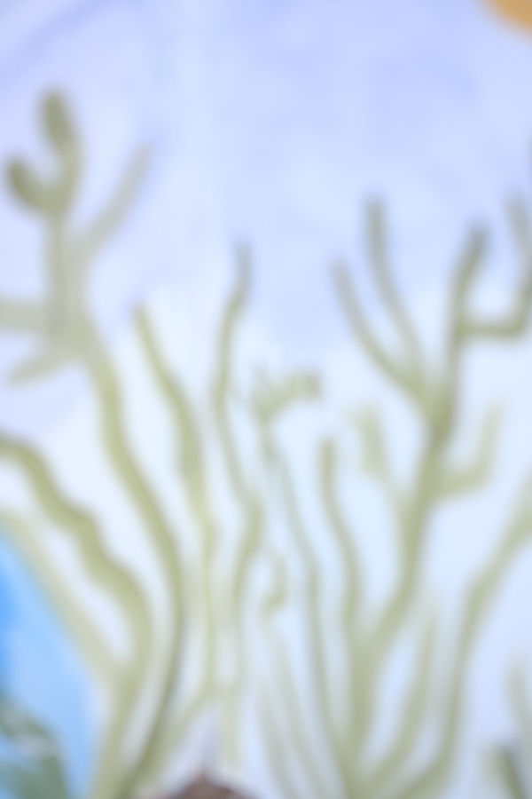 Riccardo Wolfgang, Natural expresion, 2024