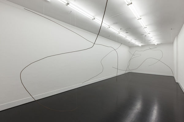 Diango Hernández, Hurricanes, 2016