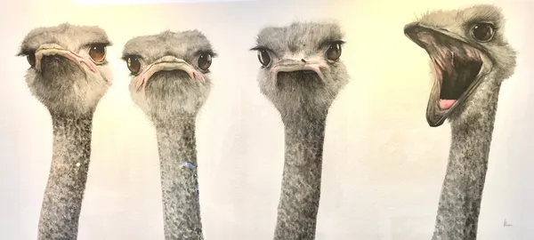 Dominique Salm, ARE YOU LISTENING TO ME?