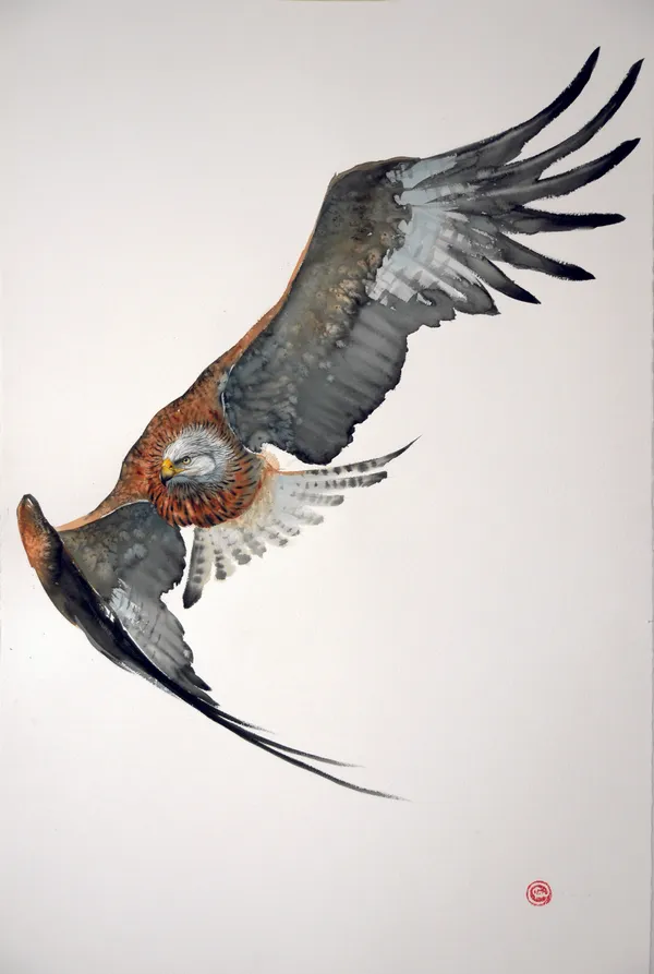 Karl Martens RED KITE IN FLIGHT (UNFRAMED) Watercolour 153 x 103 cm 60 1/4 x 40 1/2 in