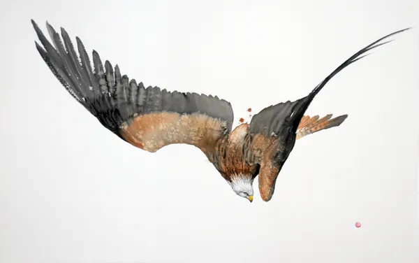 Karl Martens RED KITE IN FLIGHT (UNFRAMED) Watercolour 92 x 147 cm 36 1/4 x 57 7/8 in