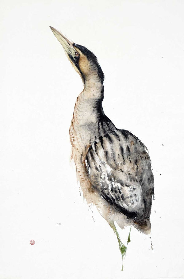 Karl Martens, BITTERNE