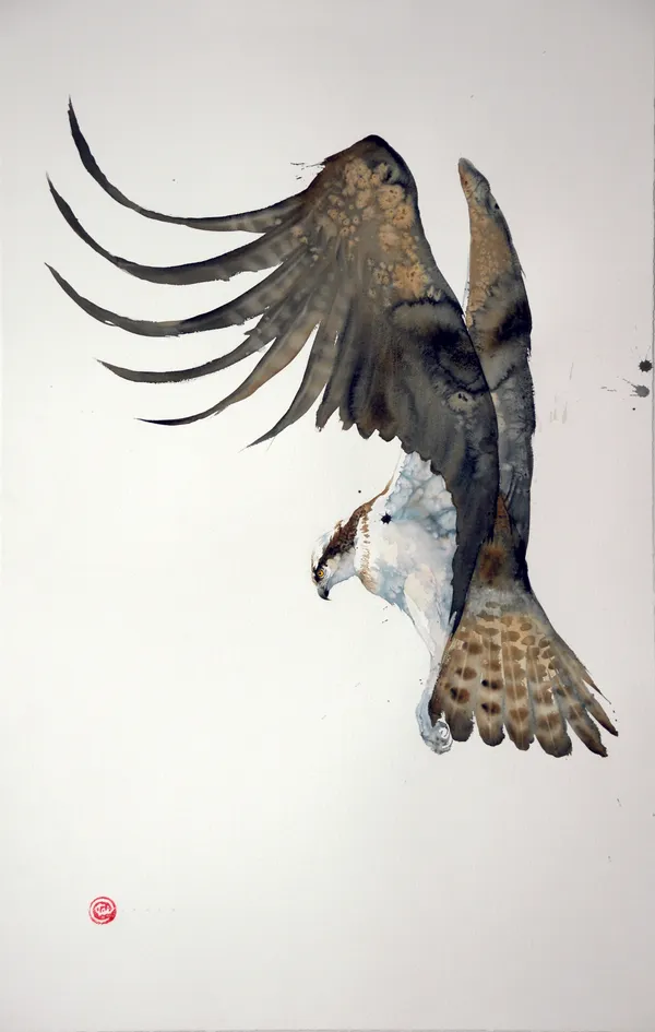 Karl Martens OSPREY (UNFRAMED) Watercolour 153 x 103 cm 60 1/4 x 40 1/2 in