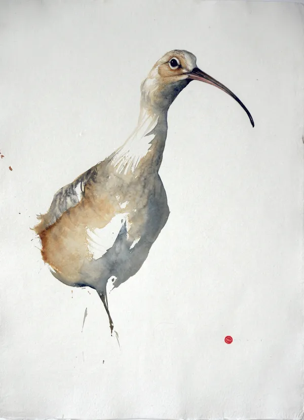 Karl Martens CURLEW (UNFRAMED) Watercolour 76 x 56 cm 29 7/8 x 22 1/8 in