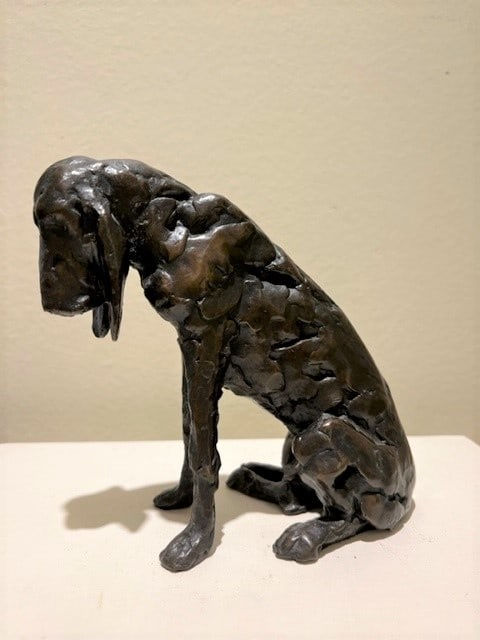 Wren Hughes, BLOODHOUND