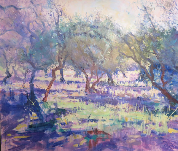 Maureen Davies, SUMMER OLIVE GROVE