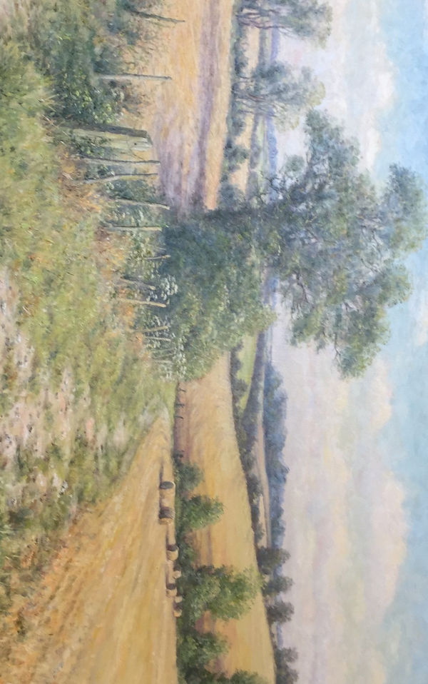 Mervyn Goode, HARVEST GOLD ON THE CHALKY DOWNS