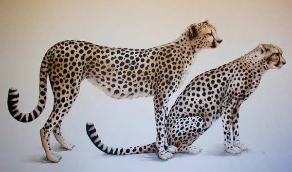 Dominique Salm, THE SELECTION COMMITTEE