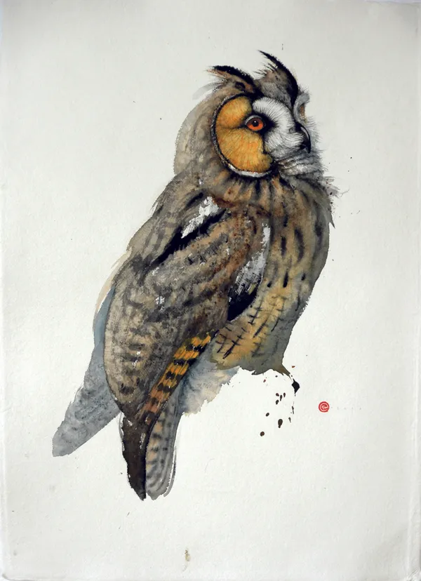 Karl Martens LONG EARED OWL (UNFRAMED) Watercolour 76 x 56 cm 29 7/8 x 22 1/8 in