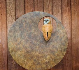 Simon Gudgeon, BARN OWL