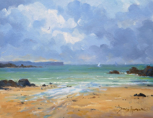 David Howell, PLAGE DE LONGCHAMPS, ST LUNAIRE