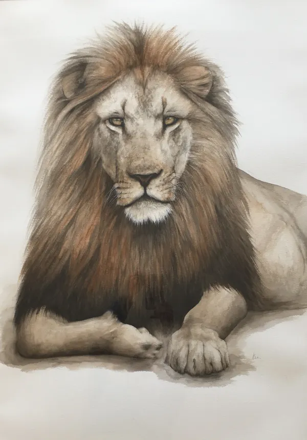 Dominique Salm, DOWN TIME