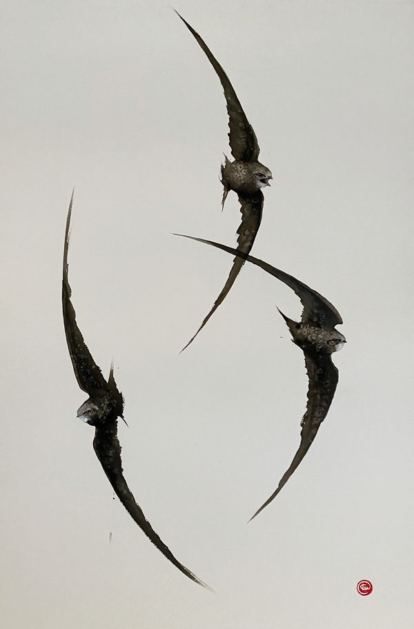 Karl Martens, SWIFTS