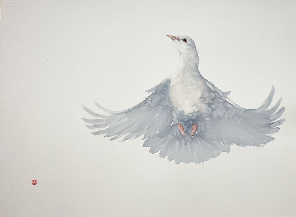 Karl Martens, DOVE I