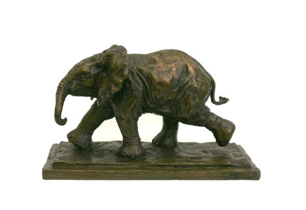 Wendy Hunt, AFRICAN ELEPHANT CALF