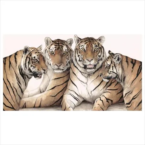 Dominique Salm, MEMBERS ONLY