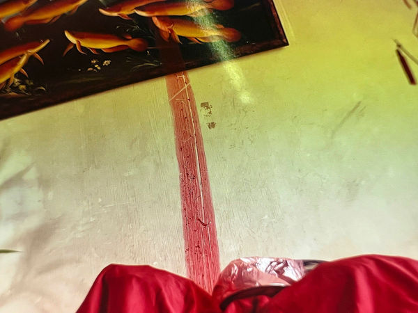 Wei Leng Tay, Revisited (“Grandaunt” home in Ipoh (2), 2/3/2010, on Kodak E100VS, 120mm), 2022