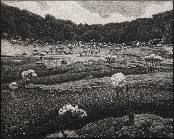 Maryanto, Humming, All the way to Rhino (MT. Pangrango), 2025