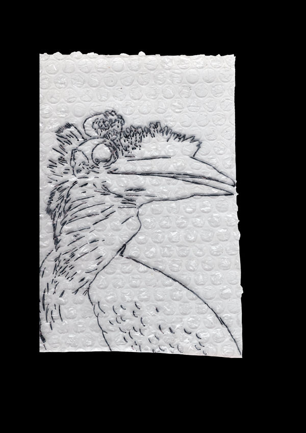 Rega Ayundya, Rhinoplax osseus 3.0 (28), 2026