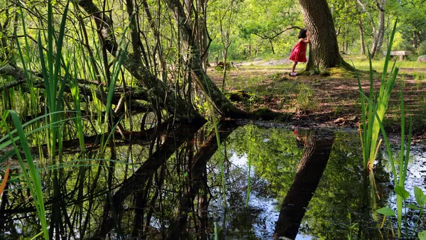 張君懿 Chang Chun-Yi, Fairy Lake-1, 2014