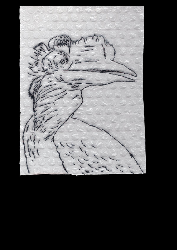 Rega Ayundya, Rhinoplax osseus 3.0 (17), 2026