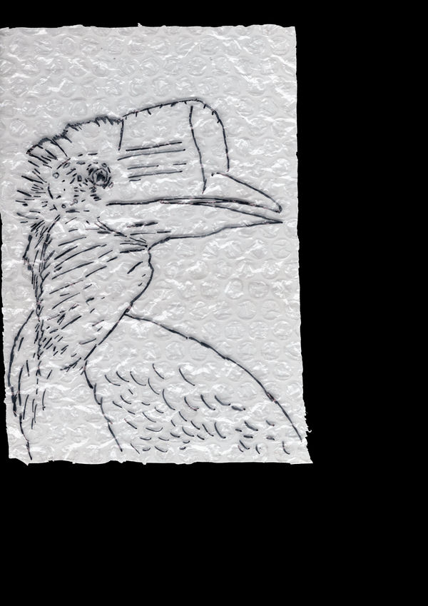 Rega Ayundya, Rhinoplax osseus 3.0 (03), 2026