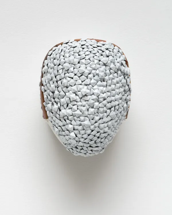 Allison Janae Hamilton, Pall Mask, 2021