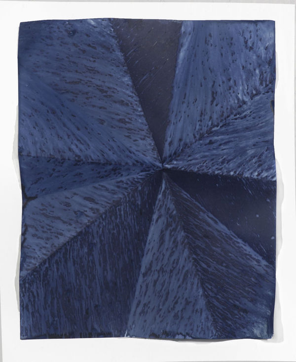 Ecotone #69 (Bainbridge Island, WA 07.01.16, Folded and Draped with Sun Showers)