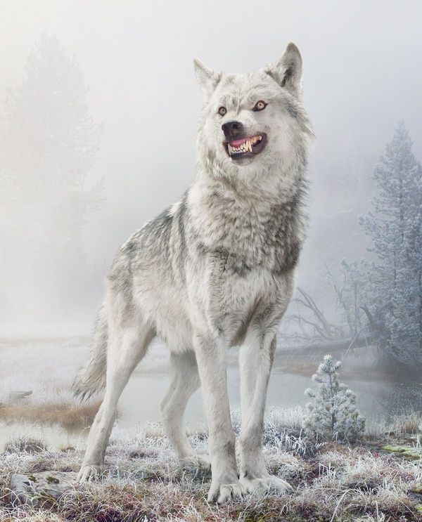 Simen Johan, Untitled #195, 2018