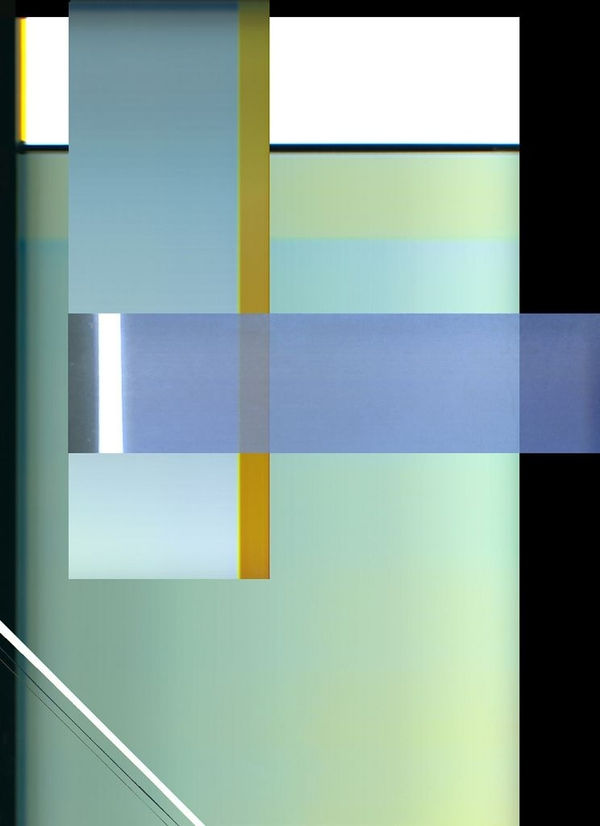 FR (700 DPI), from the series Full Reflection