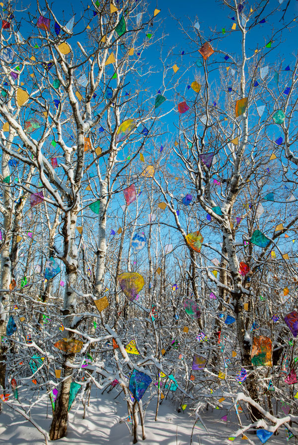 Sarah Anne Johnson, GTH2, 2026