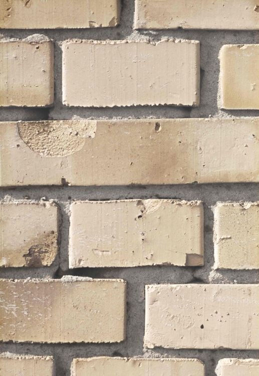 Untitled [brick wall], From 122 Colour Photographs