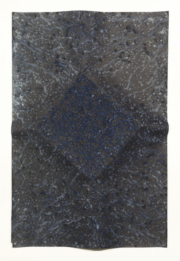 Ecotone #67 (Bainbridge Island, WA 05.25-28.16, Draped with Sun Showers)