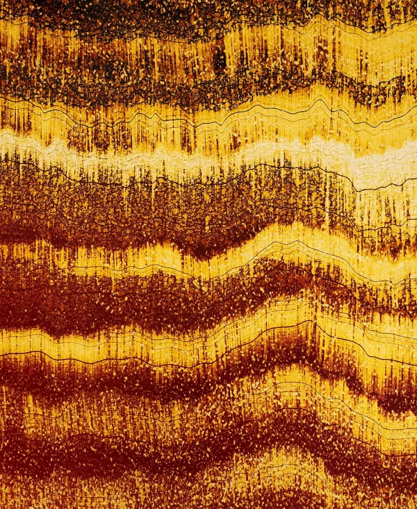 Marco Breuer, Untitled (C-1708), 2015